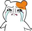 L_cry
