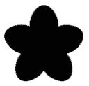 blackflower