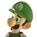 confusedluigi