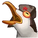 seagull seagull