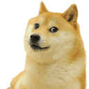 :Doge: Discord Emote
