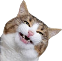 :catsmile: Discord Emote