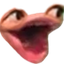 SPog Discord emoji