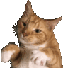 swagdance Discord emoji