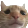 swagsad