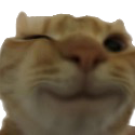 swagwink Discord emoji