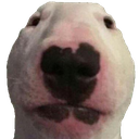 walter Discord emoji