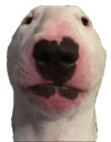 AK_OwhAjaSih Discord emoji