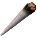 joint