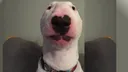 henry