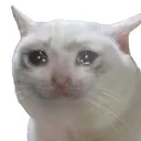 sad