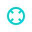 radial radial