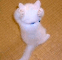 :canthearu: Discord Emote