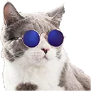 CoolCatto CoolCatto