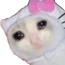 Catastrophe_VeriSadCat