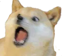 DogeScream