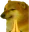 AZ_Dorime AZ_Dorime