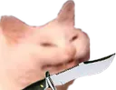 XenosCatAngwryyyyyyy