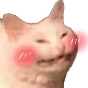 blushkitty