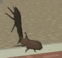 spin spin