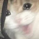 sadbinch