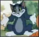 shrugtom