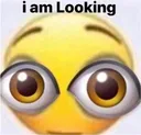 looking