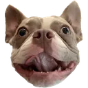 happybt Discord Emoji