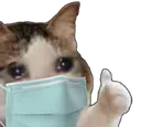 totallyfinecat