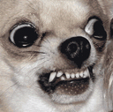 DogsOfDiscord_3_terrifying Discord emoji
