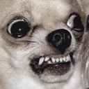 DogsOfDiscord_3_terrifying DogsOfDiscord_3_terrifying