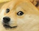 DogsOfDiscord_2_ooO Discord emoji