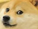 DogsOfDiscord_2_ooO DogsOfDiscord_2_ooO