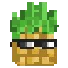 gtPine gtPine