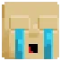 gtCry