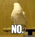NO