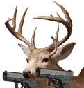 deerguns