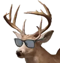 deercool