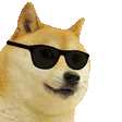 doge_cool