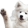 DogsOfDiscord_2_Hello DogsOfDiscord_2_Hello