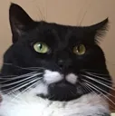 grrr