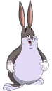 chungus