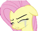 Fluttercry Discord Emoji