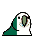 ParrotMexico