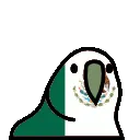 ParrotMexico