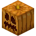 pumpkin pumpkin