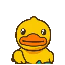 DuckThis