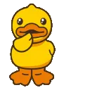 DuckConfused