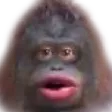 lolathonUhoh