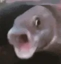 Yooo